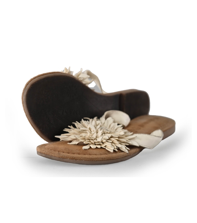 Lazamani Flip-Flops