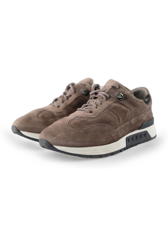 Greve Sneaker Braun 221356