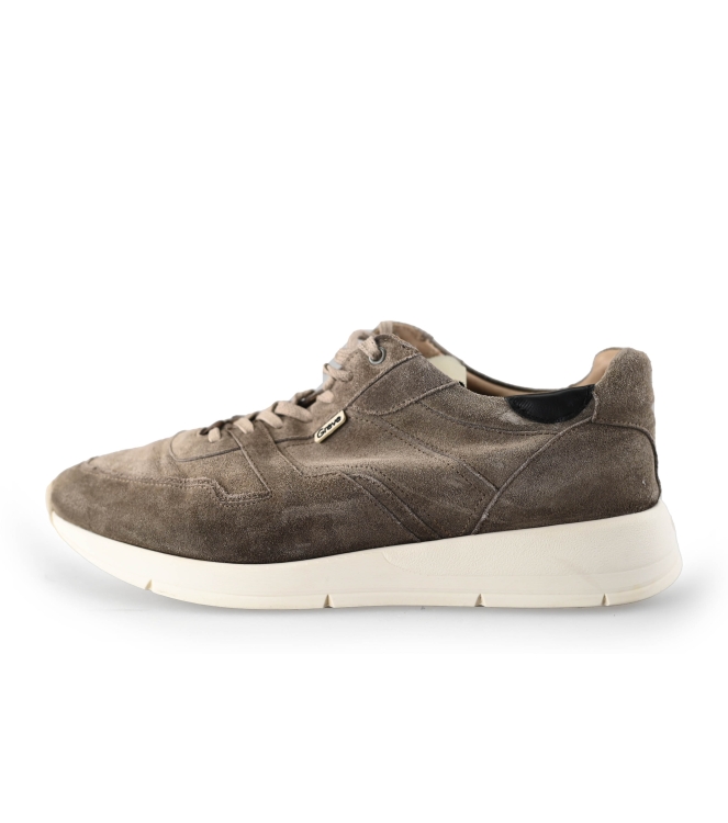 Greve Sneaker