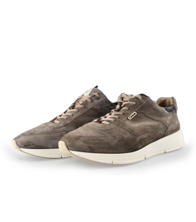 Greve Sneaker