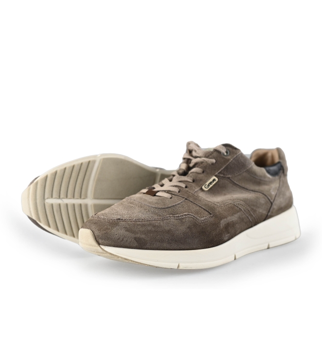 Greve Sneaker