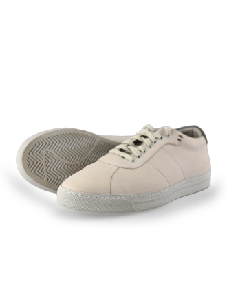 Greve Sneaker