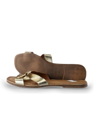 Notre-V Flip-Flops