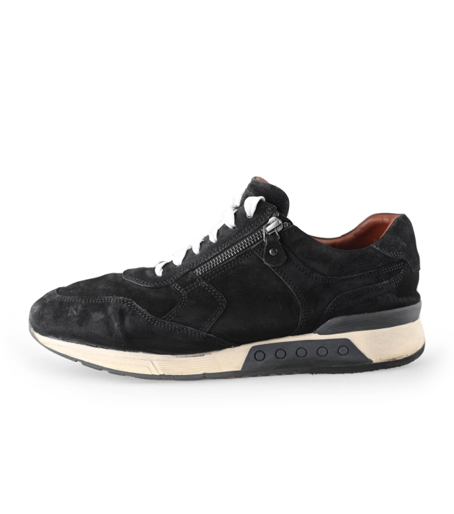Greve Sneaker