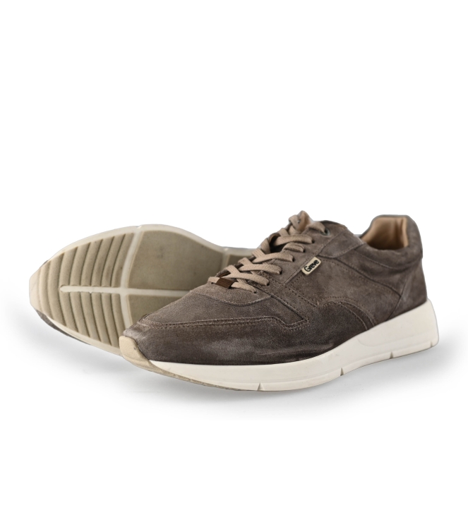 Greve Sneaker