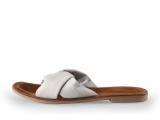 Lazamani Flip-Flops