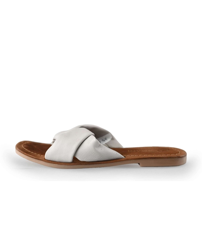 Lazamani Flip-Flops