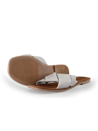 Lazamani Flip-Flops