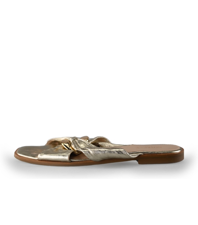 Notre-V Flip-Flops