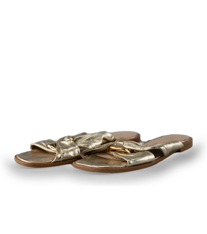 Notre-V Flip-Flops