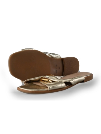 Notre-V Flip-Flops