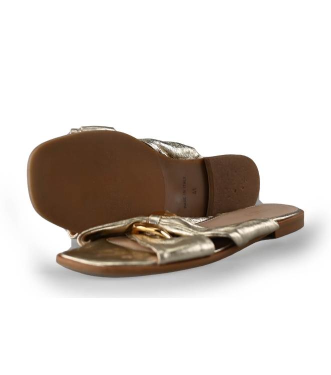 Notre-V Flip-Flops