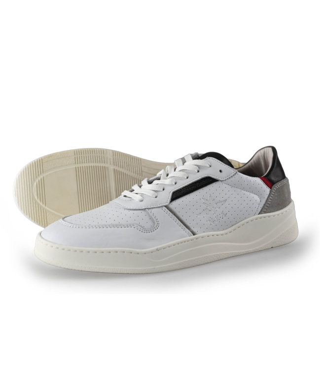 NZA Auckland Sneaker