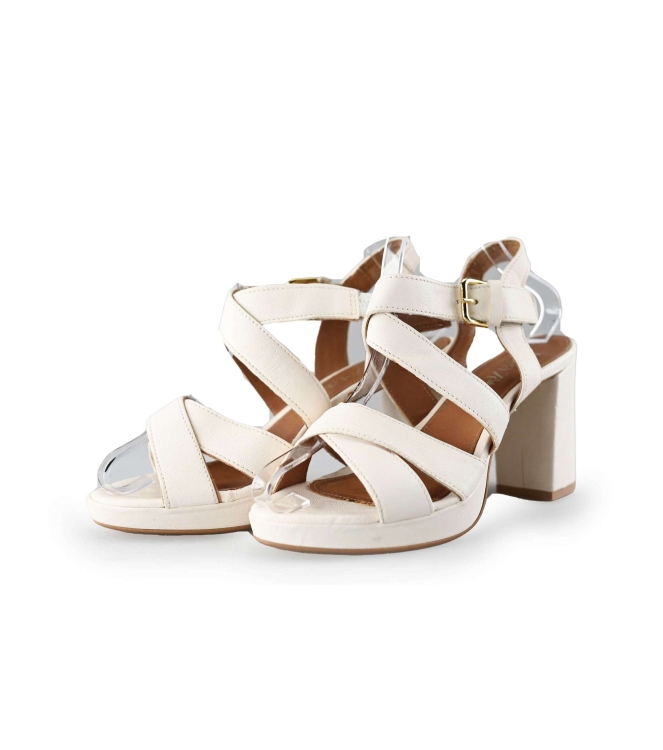 Linea Zeta pumps