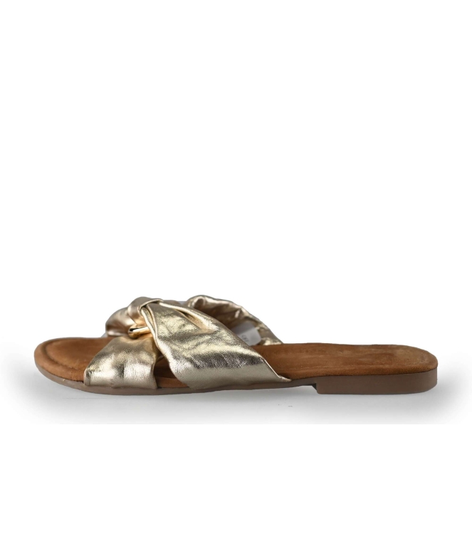 Lazamani Flip-Flops