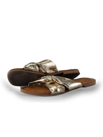 Lazamani Flip-Flops