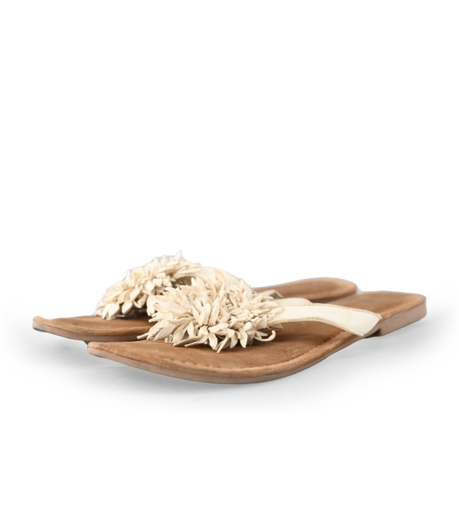 Lazamani Flip-Flops