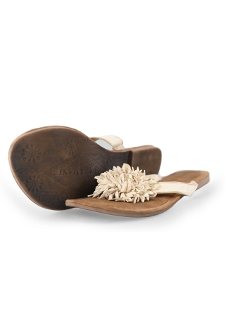 Lazamani Flip-Flops