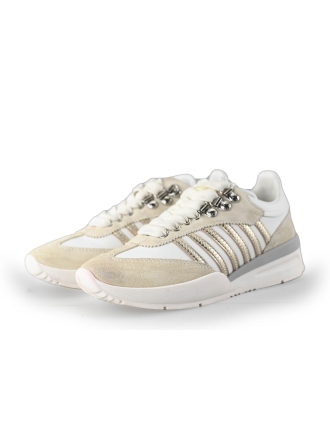 Dsquared2 Sneaker Beige 226290