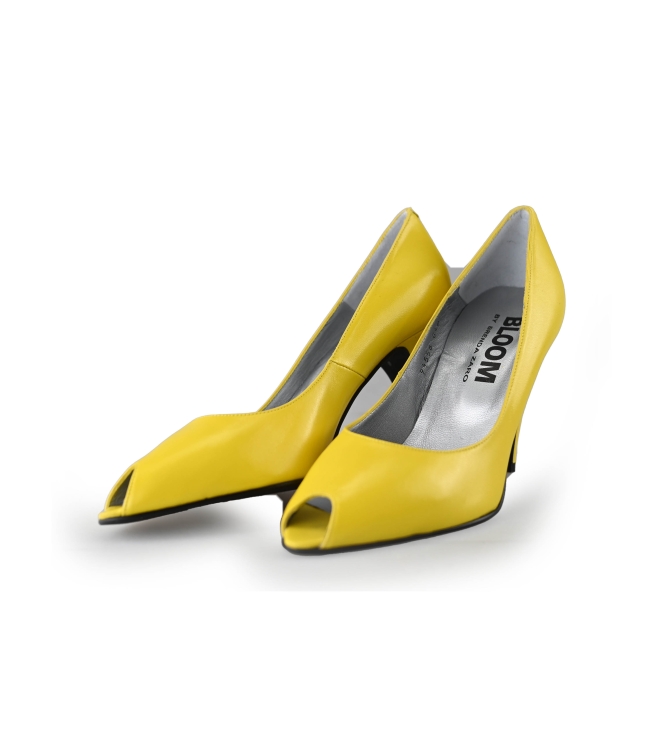 Bloom pumps
