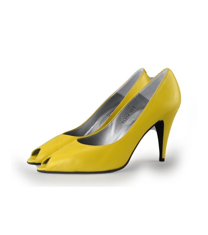 Bloom pumps