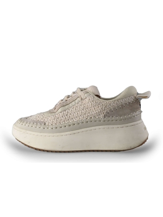 Steve Madden Sneaker