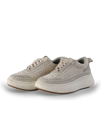 Steve Madden Sneaker