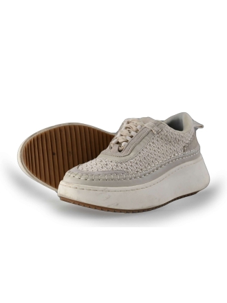 Steve Madden Sneaker