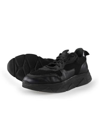 Steve Madden Sneaker