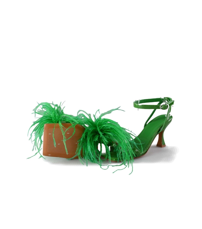 Toral pumps