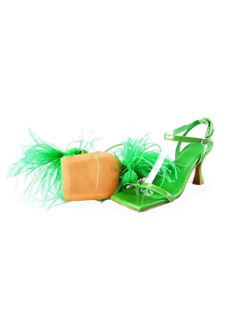 Toral pumps