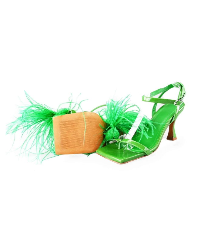 Toral pumps