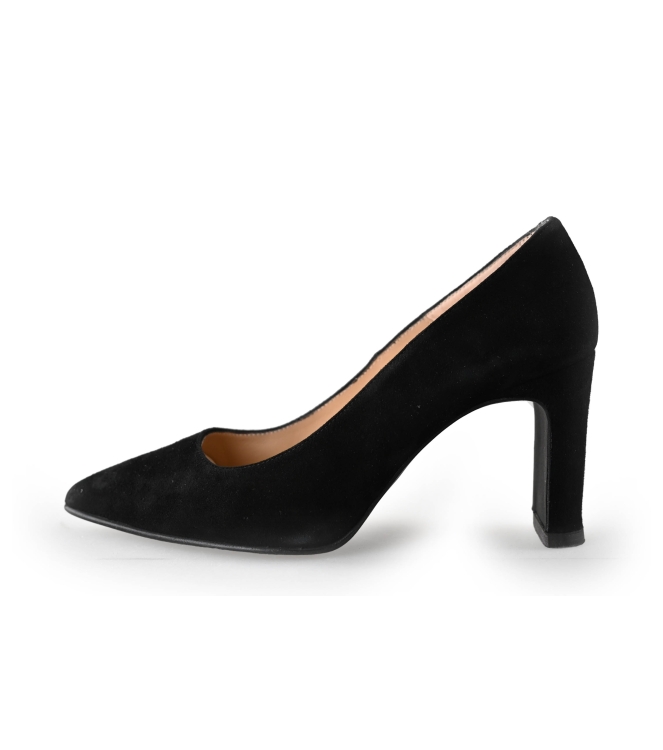 Nelson pumps