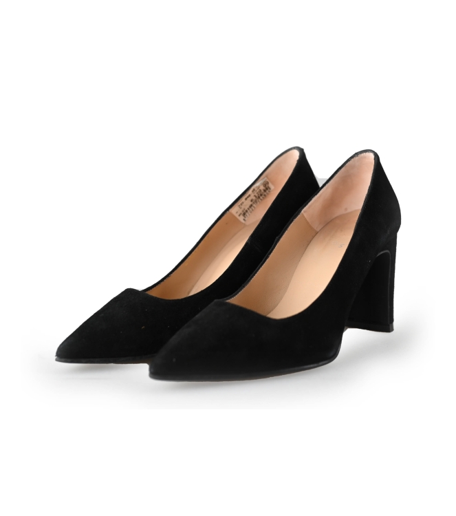 Nelson pumps