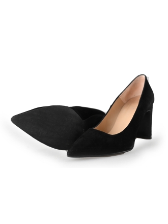 Nelson pumps