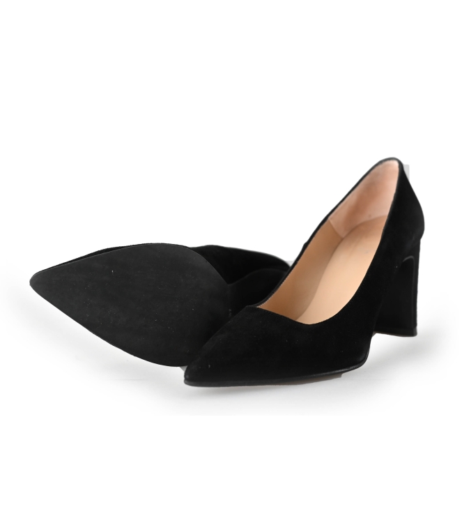 Nelson pumps