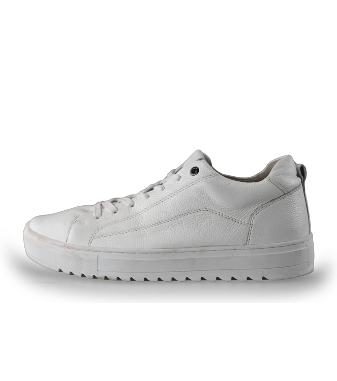 Nelson Sneaker