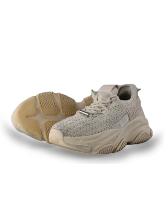 Steve Madden Sneaker
