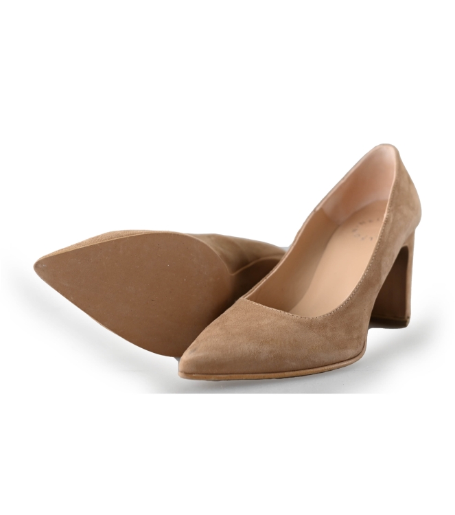 Nelson pumps