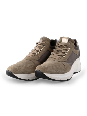 Nero Giardini Sneaker Braun 229227