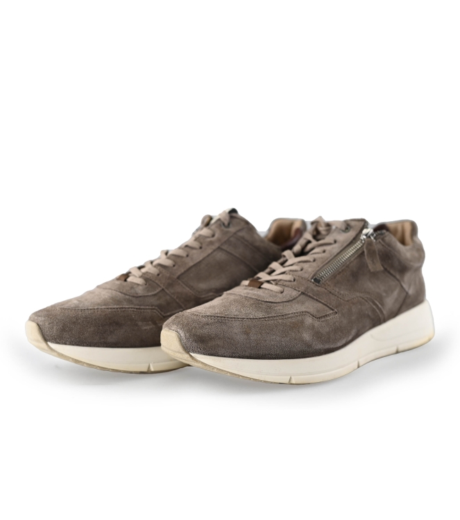 Greve Sneaker