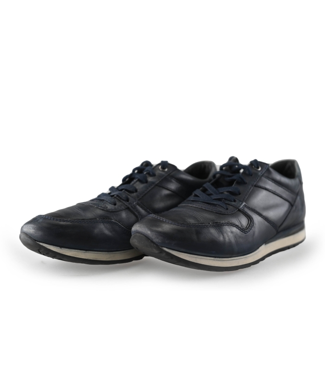 Greve Sneaker
