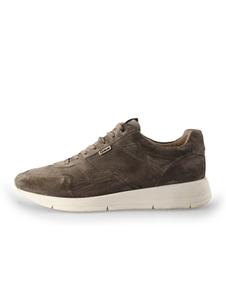 Greve Sneaker Braun 221239