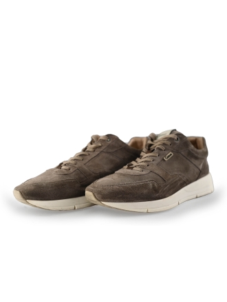Greve Sneaker Braun 221239