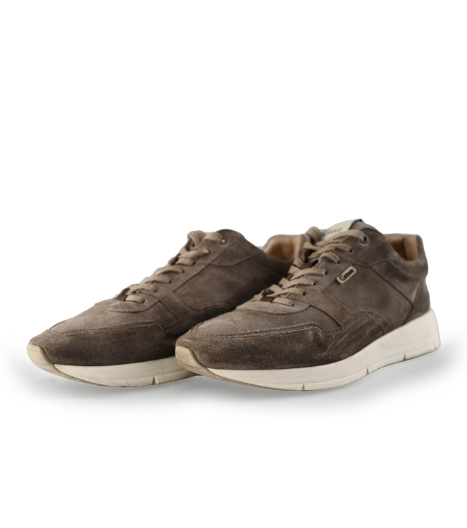 Greve Sneaker