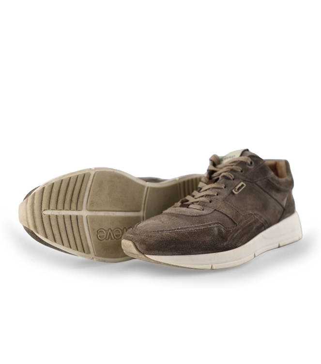 Greve Sneaker