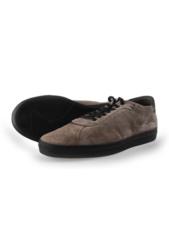 Greve Sneaker