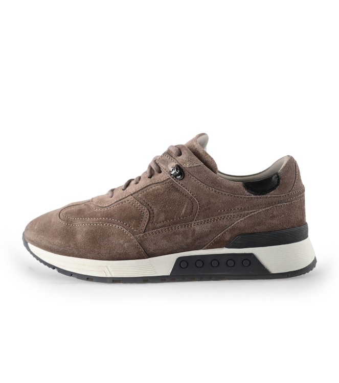 Greve Sneaker
