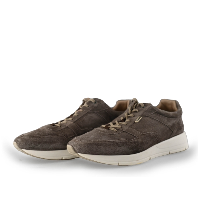 Greve Sneaker