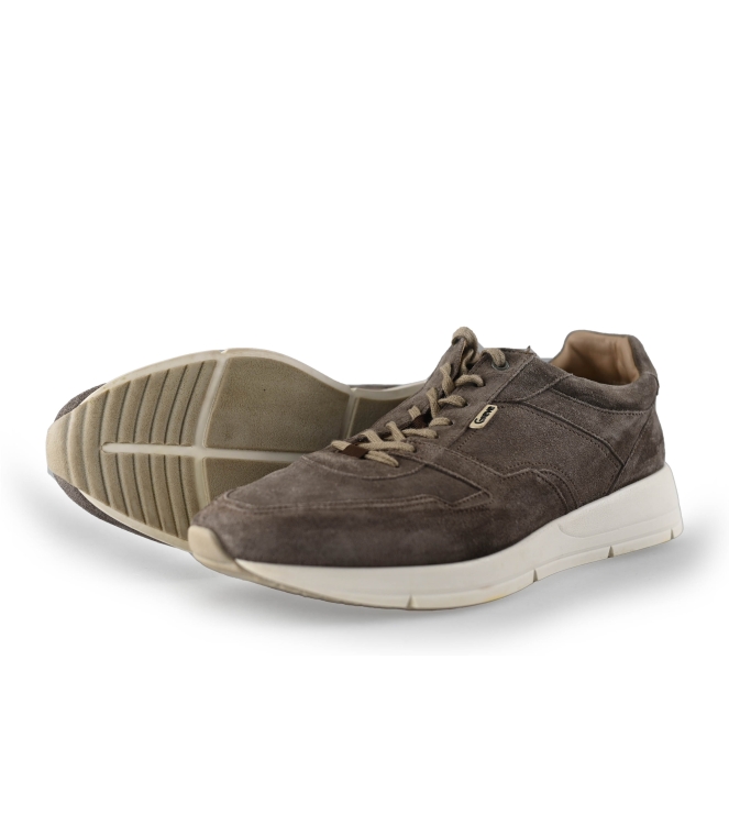 Greve Sneaker